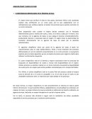 ANALISIS PMAP Y MAPA FUTURO