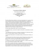 Caracteristicas del modelo ambiental