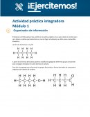 Química orgánica. Actividad práctica integradora