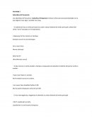 Actividad 1 Adverbios de frecuencia