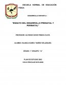 Ensayo del desarrollo prenatal y perinatal