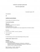 Evaluación en psicología organizacional . Entrevista organizacional