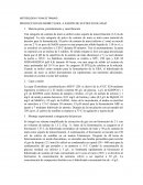 PRODUCCION DE BIOBUTANOL A PARTIR DE SUSTRATO DE MAIZ