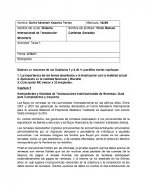 Sistema Internacional de Transacción Monetaria. Página 1
