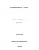 IMPORTANCIA DE LA INTRODUCCION AL MUNDO LABORAL