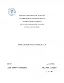 EMPRENDIMIENTO EN VENEZUELA