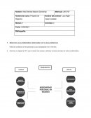 Actividad Proyecto de Negocios
