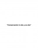 “Conservación in situ y ex situ”