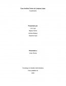 Caso Análisis Centro de Limpieza López