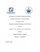 Ensayo Pago de Honorarios