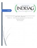Habilidades para la comunicación de las ideas