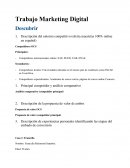 Trabajo Marketing Digital