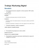Trabajo Marketing Digital