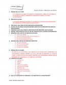 Guia investigacion cualitativa