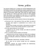 Ensayo de la norma juridica