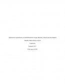 Aplicaciones ergonómicas en la identificación de riesgos laborales, relación persona-máquina