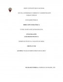 RESUMEN PASANTE DE MODA