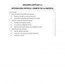 INTEGRACIÓN VERTICAL Y ÁMBITO DE LA EMPRESA