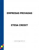 MANUAL DE EMPRESAS INICIATIVAS