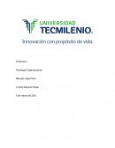 Psicología organizacional