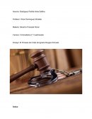 El Proceso De Cristo