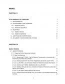 PLAN DEL TRABAJO DE INVESTIGACIÓN-MIMP