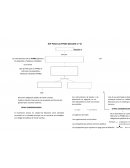 MAPA CONCEPTUAL DE NIIF PARA LAS PYMES SECCION 1 Y 2