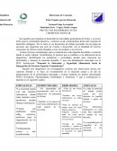 PROYECTOS SOCIOPRODUCTIVOS