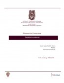Portafolio de evidencias. Planeación Financiera