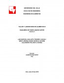 EQUILIBRIO DE FASES LIQUIDO-VAPOR