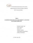 LAS EMPRESAS Y SU PREOCUPACION POR EL MEDIO AMBIENTE