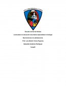 Neurociencia en la adolescencia.