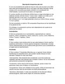 Descripción bioquímica del noni