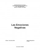 Las Emociones Negativas