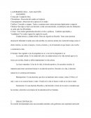 LA HERMENÉUTICA – SAN AGUSTÍN