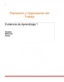 Planeación y Organización del Trabajo. Evidencia de Aprendizaje 1