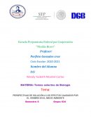 PERSPECTIVAS DE SOLUCIÓN A LOS EFECTOS CAUSADOS POR EL HOMBRE EN EL MEDIO AMBIENTE