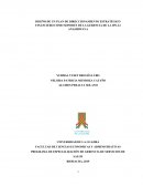 DISEÑO DE UN PLAN DE DIRECCIONAMIENTO ESTRATÉGICO FINANCIERO COMO SOPORTE DE LA GERENCIA DE LA IPS-I-I ANASHIWAYA