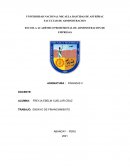 ENSAYO DE FINANCIAMIENTO