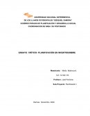 ENSAYO CRÍTICO- PLANIFICACIÓN EN INCERTIDUMBRE