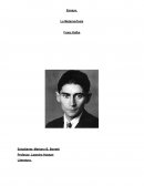 Ensayo. La Metamorfosis Franz Kafka