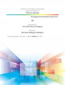 Investigación Documental Femsa