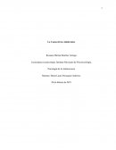 Psicología de la adolescencia