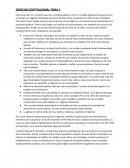 DERECHO CONTITUCIONAL TEMA 1