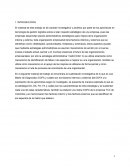 Plan mestro y estrategias