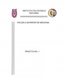 Practica 1 Bioquimica II ESM