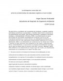 Los detergentes comerciales son entre los contaminantes de naturaleza orgánica a nivel mundial
