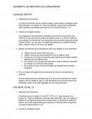 SEGMENTO DE MERCADO DE CONSUMIDOR