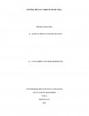 SUEÑOS, METAS Y OBJETIVOS DE VIDA