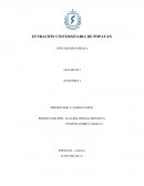 CONTADURÍA PUBLICA TALLER N0 3